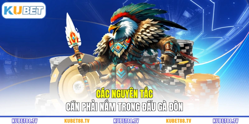 Các nguyên tắc cần phải nắm trong đấu gà đòn
