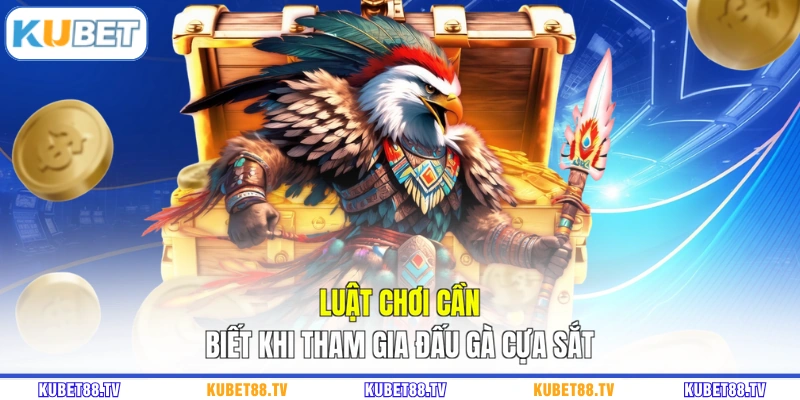 Luật chơi cần biết khi tham gia đấu gà cựa sắt